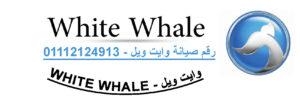 توكيل صيانة غسالات وايت ويل قليوب 01092279973