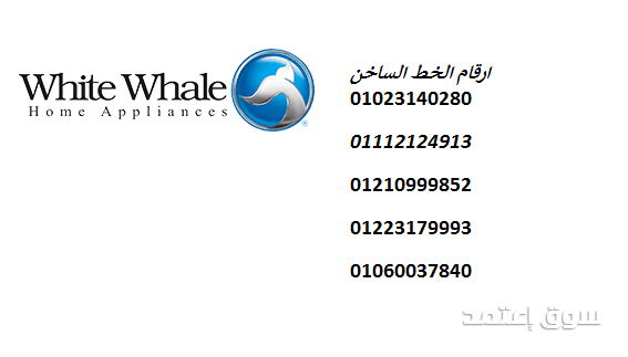 الخط الساخن للديب فريزر وايت ويل بشبراخيت 01210999852