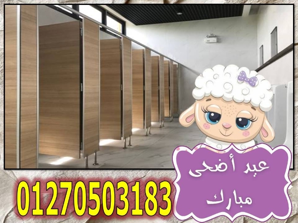 ارخص سعر واعلي جودة لقواطيع كومباكت